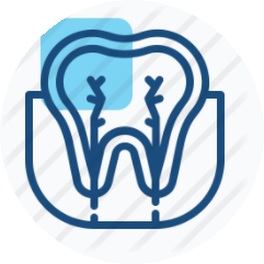 Endodontia